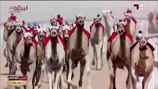 ش  مذيار ل  هجن الرئاسة  علي جميل الوهيبي  ختامي الوثبة         م سيف الحيل مفتوح         دندنها