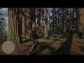 RDR2 blackberry location