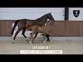 Nr 4 - EXPLOSION RH Z