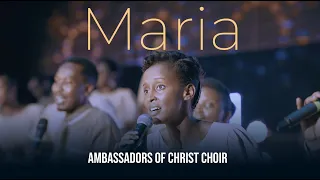 maria official music video ambassadors of christ choir 2025