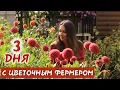 Download Lagu ТРИ ДНЯ с ЦВЕТОЧНЫМ ФЕРМЕРОМ 