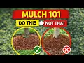 Mulch 101 The RIGHT Type Depth Mistakes to Avoid