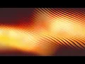 Matt Fax & 88Birds - High On Life