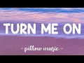 Download Lagu Turn Me On - David Guetta (Feat. Nicki Minaj) (Lyrics) 🎵