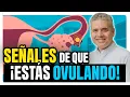 Am I ovulating Here s how to find out - Juan Luis Giraldo