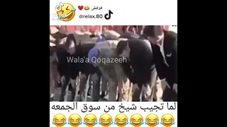 لما تجيب شيخ من سوق الجمعه 