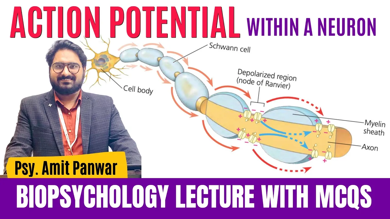 Action Potential - Communication Within a Neuron - Complete Lecture by Psychologist Amit Panwar
