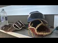 2 men including coach charged in connection to Mitchell baseball team incident