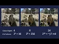 Representing Images in Binary