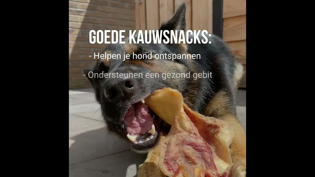 Doorbijtersbox