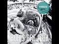 Purple Noise - Boris Brejcha (Original Mix)