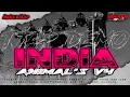 Download Lagu DJ INDIA TJAP DEMO X ANIMAL'S V4 BASS PULEN NULUP NULUP TONGGONE!!!
