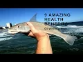 Download Lagu 9 Amazing Health Benefits Of Whiting Fish | health and beauty forever
