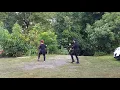 VAMOS A MARTE (BACHATA VERSION)