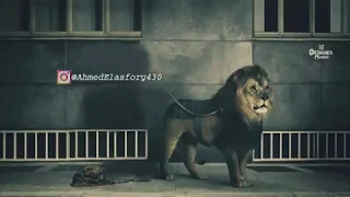 اسد وقال للجمل نفسي اسالك سؤالين 