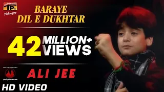 baraye dil e dukhtar ali jee 2013 14