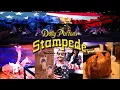 Dolly Parton s Stampede Branson Missouri Review Dinner Attraction Worth The Money