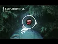 Serhat Durmus - Yalan (ft. Ecem Telli) [BASS BOOSTED]
