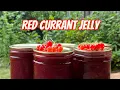 Download Lagu Red Currants - Growing Tips \u0026 Jelly Recipe