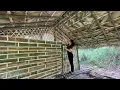 Lagu 30 Days of Hard Work - Young Girl Completes Bamboo House in the Middle of a Deserted Hill