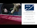 Subaru A Lot to Love Event - Bloom Into Big Savings