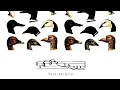 Noël Akchoté – Theme 001 (Jaimie Branch)