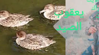 حلى صوت حذاف جديد 2020 