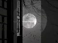 Download Lagu Alan walker,K - 391,tungevaag, mangoo - Play(lyrics)#alanwalker #play #useheadphones #shorts 🖤🖤