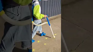                    دندنها