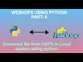 Download Large files from FS to Local File system using python