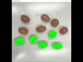 Use OpenCV to count eggs