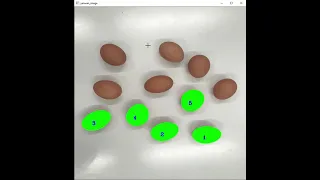 Use OpenCV to count eggs