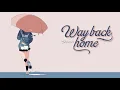 Download Lagu Vietsub | Way Back Home - SHAUN (Sam Feldt Edit), Conor Maynard | Lyrics Video