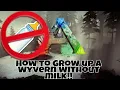 ARK Survival Evolved How to Grow up a Wyvern Without Milk