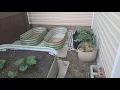 New Amazon Raised Garden Beds