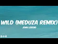 John Legend - Wild (MEDUZA Remix) (Lyrics) | Dirty Decibels
