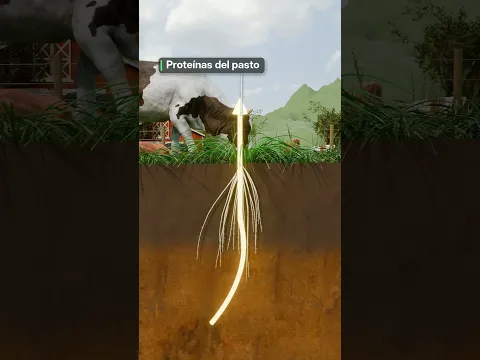 El nitrógeno circula entre el estiércol, los animales, las plantas, el suelo y la atmósfera.