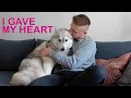 The Best Dog Therapy Hugging Your Husky For Too Long