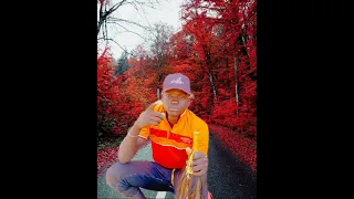 NYANDA MAJALIWA KUKU MAJI LIMBU LUCHAGULA NELEMI MBASANDO BHAGUNYA 0788232488 