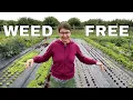 Never Weed Again Our Landscape Fabric Explained