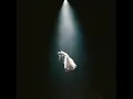 Download Lagu Ariana Grande - Dandelion (Instrumental)