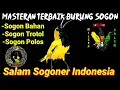 Download Lagu MASTERAN SOGON MATERI MEWAH‼️CETAK JUARA BURUNG SOGOK ONTONG 2023