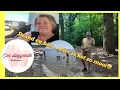 Download Lagu HIER IS HET ALLEMAAL: STRAND EN BOS|HET IJSSELMEER EN RIJSTERBOS|vlog 395