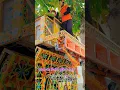 Download Lagu dj jay Mata Di sounds √√9693180272.#shortsvideo #neelkamalsingh #bhojpurimusic ...