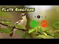 Download Lagu Tum Mile Dil Khile Flute Ringtone | Romantic Music | Heart Touching Tone 2025