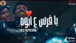 مهرجان في الكوشه هتكوني جمبي 