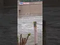 Shows Items from an Indiana Store Floating Away After Historic Flooding