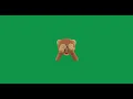 Shy Monkey Realistic Emoji - Green Screen For Editing