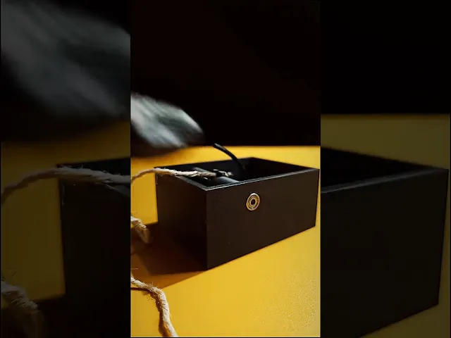 3D Printed Prank Box.3mf video thumbnail