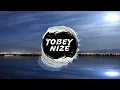 SDP x Clueso - Die schönsten Tage (TOBEY NIZE REMIX)